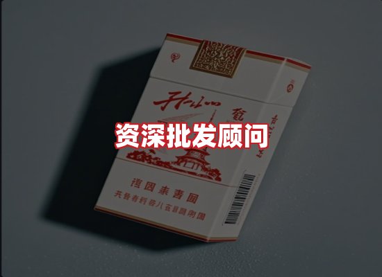 专业团队